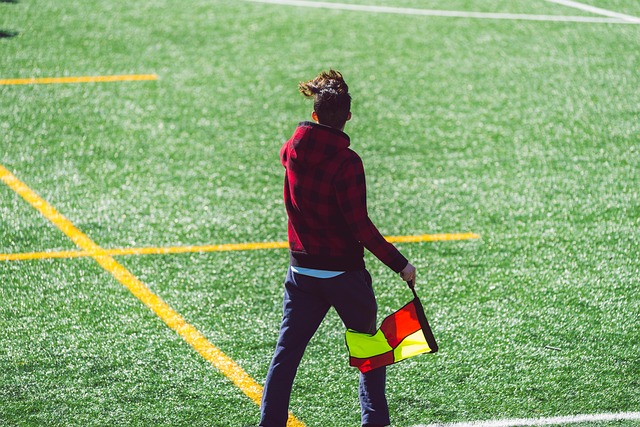 这一建议引 这一建议引